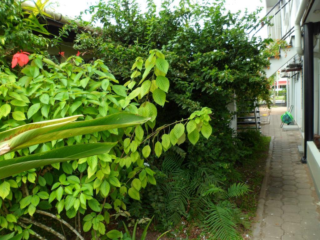 Guesthouse Amice Paramaribo Exterior foto