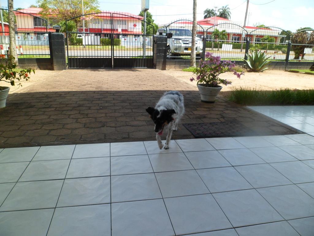 Guesthouse Amice Paramaribo Exterior foto