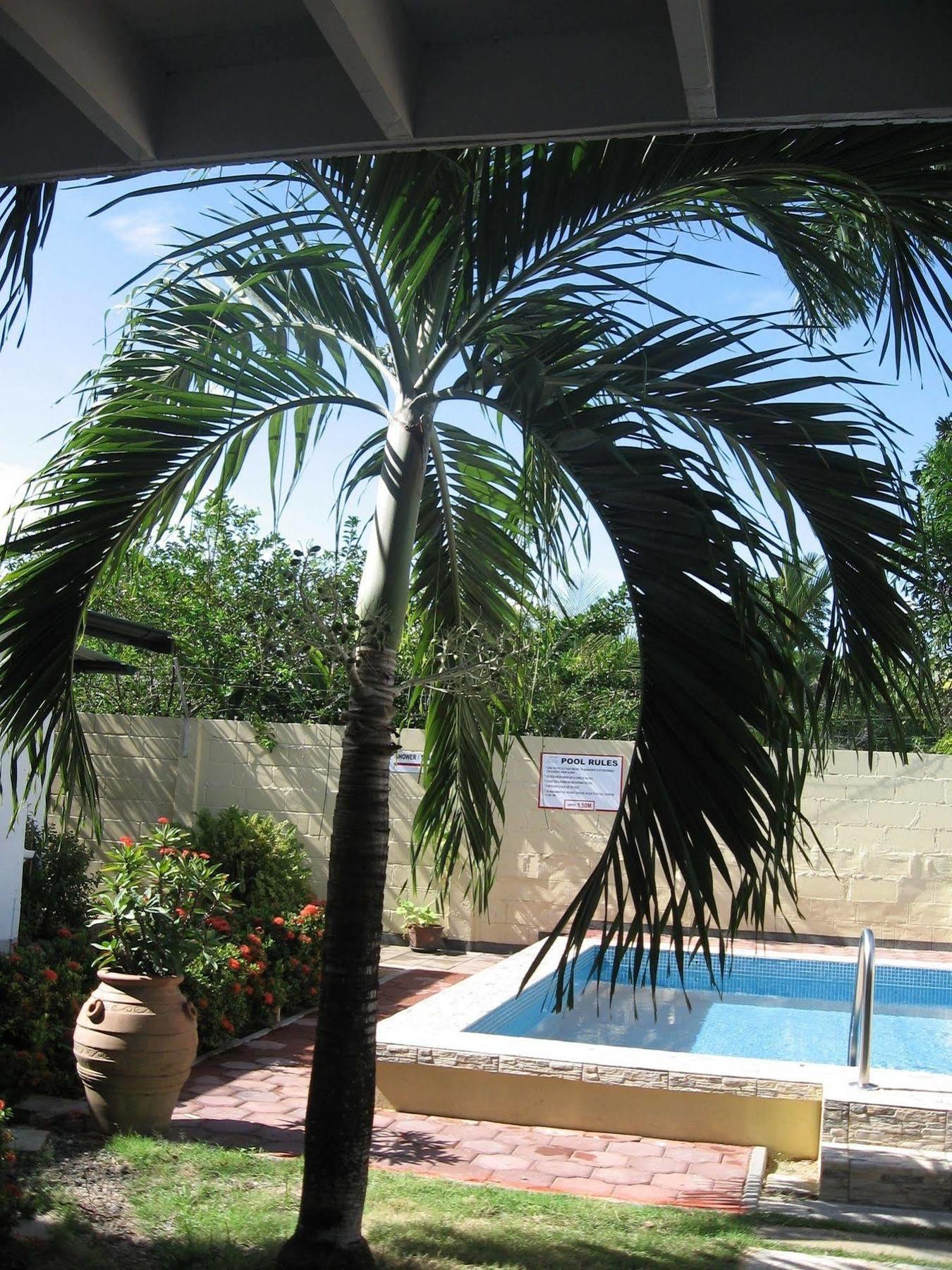 Guesthouse Amice Paramaribo Exterior foto